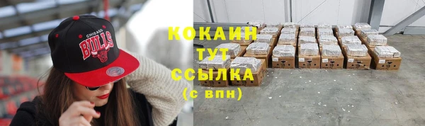 гашик Аркадак