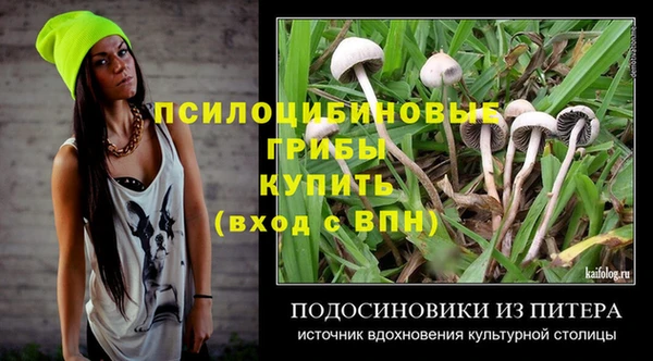 гашик Аркадак