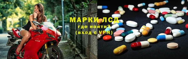 гашик Аркадак
