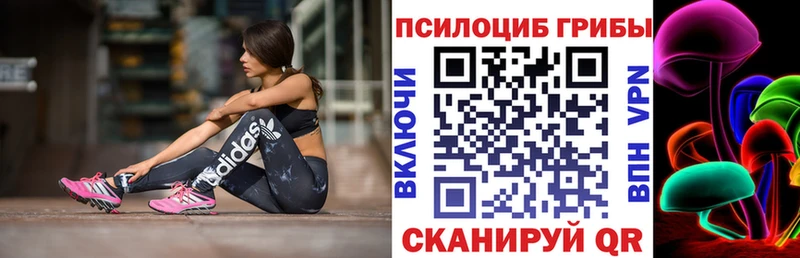 Псилоцибиновые грибы мицелий Приморско-Ахтарск